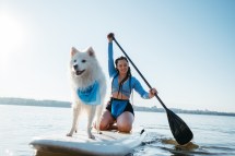 Ocean vs. Lake Paddle Boarding: Which Offers a Better Experience?