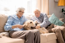 Choosing the Right Type of Pet for Seniors: What You Need to Know