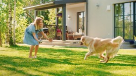 From Tails to Ears: The Essential Guide to Reading Your Pet’s Body Language