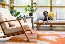 What to Look For in Pet-Friendly Furniture: A Comprehensive Checklist